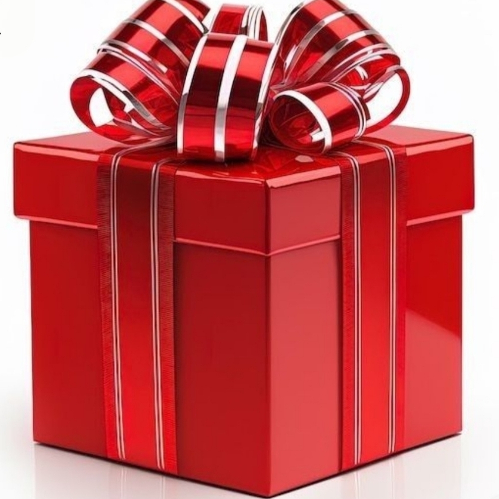 🎁All Things Christmas! Look For The Present🎁Items are $6 or $10!!